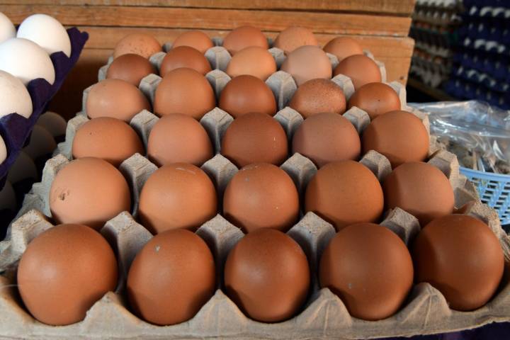¿Dónde comprar más barato? La estrategia que protege la economía de tu familia